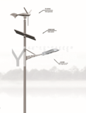 TYN-0012