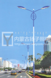 SBLD-0005